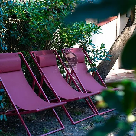 Holiday home Patio - - Foret - - Calme Seignosse